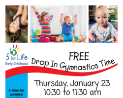 Drop-In Gymnastics