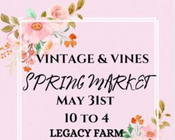 VINTAGE & VINES SPRINGMARKET