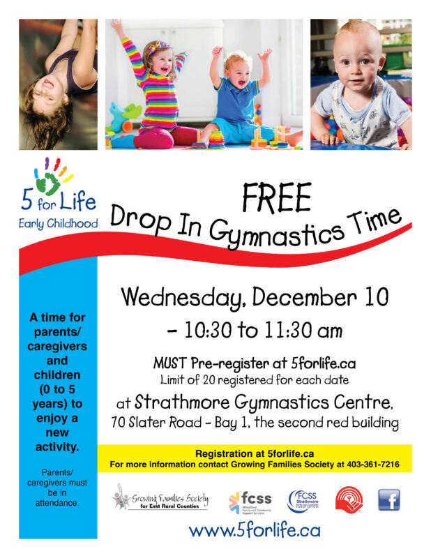 Dec 10 Drop In Gymnastics