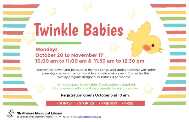 Twinkle Babies Fall Session 2