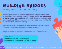 Building Bridges