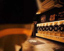 Wheatland Kings Hime Openers & Tailgate
