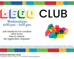 LEGO Club