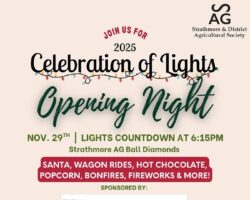 2025 Celebration of Lights