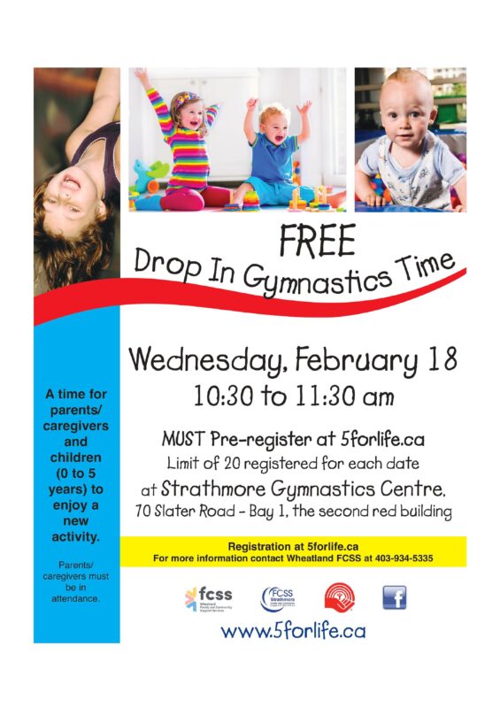 Drop In Gymnastics Feb 18 2026