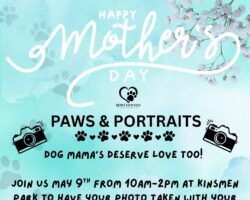 PAWS & PORTRAITS