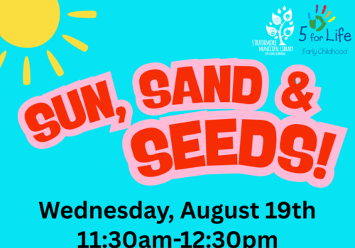 Sun Sand Seeds