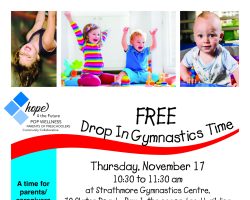 Drop In Gymnastics Nov 17