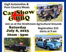 Car Show and BBQ