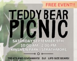 Teddy Bear Picnic