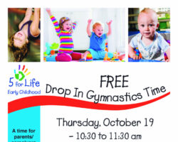 Drop In Gymnastics Time