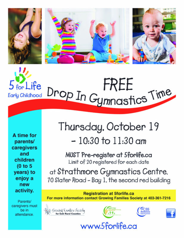 Drop In Gymnastics Oct 19 2023