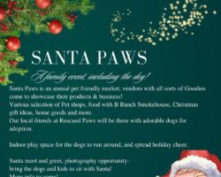 Santa Paws