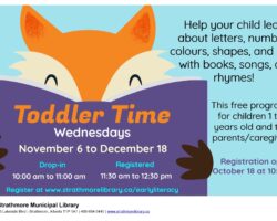 Toddler Time - Registered